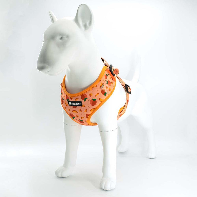 No Pull Dog Harness with Leash Set Adjustable Puppy Harnesses Breathable Mesh Padded Pet Outdoor Walking Training Supplies for Medium Small Pets S Peach - BeesActive Australia