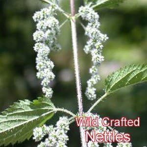 Herb Pharm Herb Supplement Premium Nettle Tincture Liquid 29.6ml - BeesActive Australia