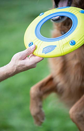 Nerf Dog Atomic Howler Dog Toy, Frisbee, Lightweight, Durable and Water Resistant, 10 Inch Diameter, For Medium/Large Breeds, Single Unit Blue/Green - BeesActive Australia