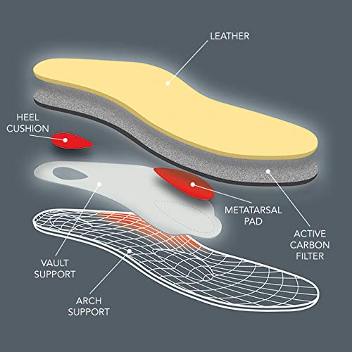 Pedag Viva Winter | Insulating Insoles | Made in Germany | Heel Cushion, Longitudinal & Metatarsal Arch Support | Boost Warmth & Comfort | 1 Pair | Women US 12/ Men 9/ EU 42 US W12/M9/EU 42 - BeesActive Australia
