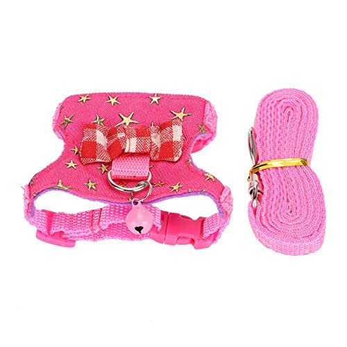 with Soft Texture Outdoor Chest Strap Ferret Leash Pet Harness Ferret Pet Supplies S number - BeesActive Australia