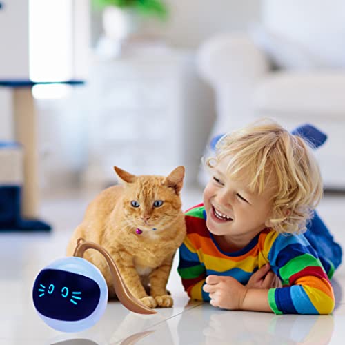 SIMENA Interactive Cat Ball Toy, Automatic Rolling Ball for Indoor Cats, Pet Exercise Toy, Smart Electric Teaser Toy, USB Rechargeable Wicked Ball, Pet Gift for Cats - BeesActive Australia