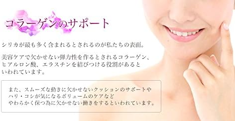 Ogaland Silica Supplement (30 tablets/approximately 1 month's supply) Contains horsetail extract (contains 7% silica) (Health/Beauty Support Supplement) Supplement to prepare the foundation Mineral - BeesActive Australia
