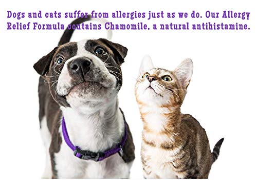Doc Ackerman's - Allergy Relief Formula - Fast Acting Anti-Itch Relief - Enhanced with Green Tea Extract, Papaya, & Mullein - Immune Support for Pets - Professionally Formulated Herbal Remedy - 10 oz - BeesActive Australia