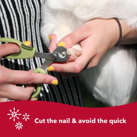 Safari by Coastal Deluxe Nail Trimmer with Stainless Steel Edges for Regular Trimming & Maintenance of Dog Nails (770024) - BeesActive Australia