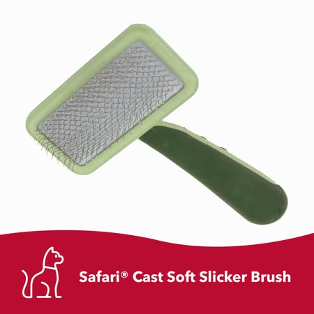 Coastal Pet Safari - Cat Soft Slicker Brush (6.5 x 3.5 Inches) - BeesActive Australia