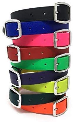 Regal Dog Products Waterproof Dog Collar - Custom Fit Vinyl-Coated Webbing Water Resistant, Double Buckle and D Ring Medium Orange - BeesActive Australia