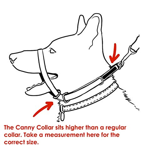 Canny Collar Dog Head Collar, No Pull Leash Training Head Harness, Easy to Fit Halter that Stops Pulling, Comfortable & Calm Control with Padded Collar, Kind To Your Dog, Enjoy Gentle Walks with Small, Medium or Large Dogs, Black, Blue, Purple & Red - BeesActive Australia