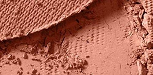 MAC Blush Powder for Women, Coppertone, 0.2 Ounce - BeesActive Australia