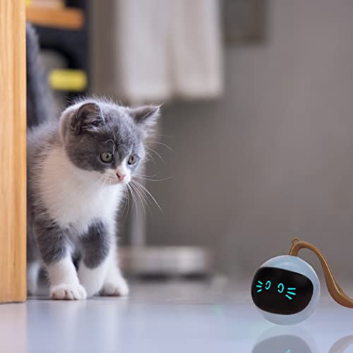SIMENA Interactive Cat Ball Toy, Automatic Rolling Ball for Indoor Cats, Pet Exercise Toy, Smart Electric Teaser Toy, USB Rechargeable Wicked Ball, Pet Gift for Cats - BeesActive Australia