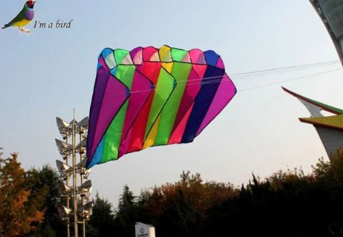 [AUSTRALIA] - L.W. Eye Catching 8 Hole Single Line Control Parachute Parafoil Foil Kite Outdoor Beach Garden Playground Fun 