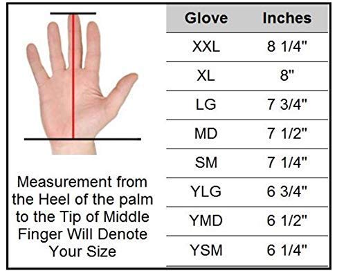 PGX You Looked Baseball Batting Gloves Adult Large - BeesActive Australia