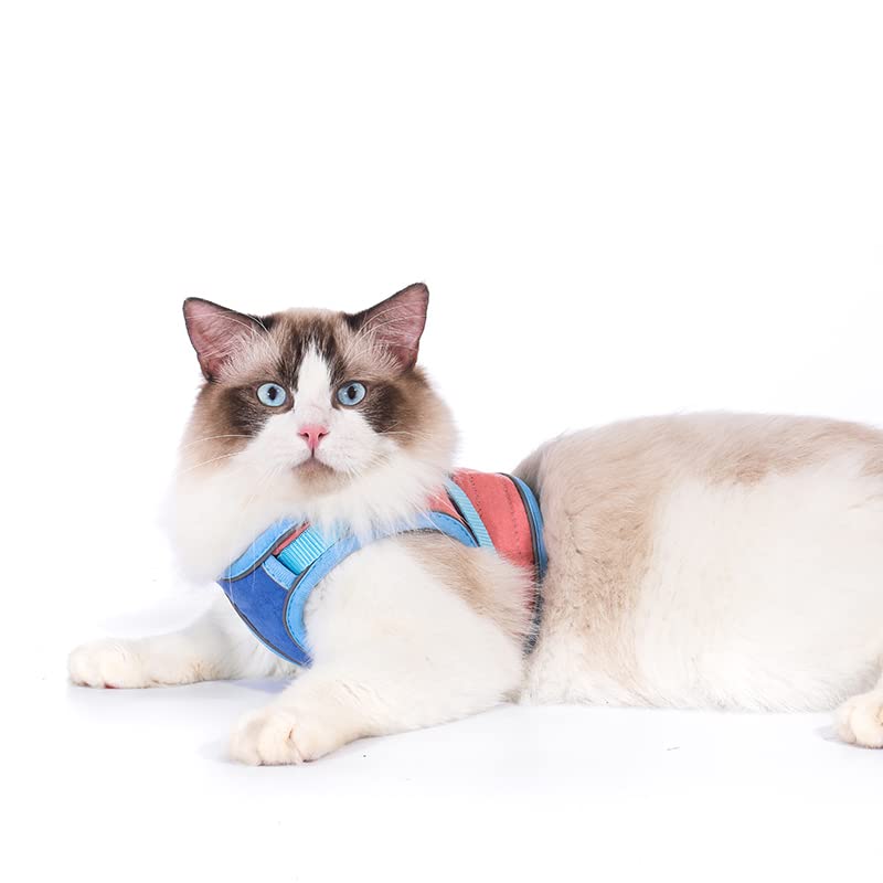 TOTORO Cat Harness and Leash for Walking Escape Proof ，Adjustable Comfortable Suedette Vest Harnesses for Cats，Reflective Strips Easy to Put on Step-in Velcro Jacket Medium Blue - BeesActive Australia