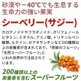 International PE Japan Omega 7-containing Mongolian seaberry oil 90 tablets - BeesActive Australia