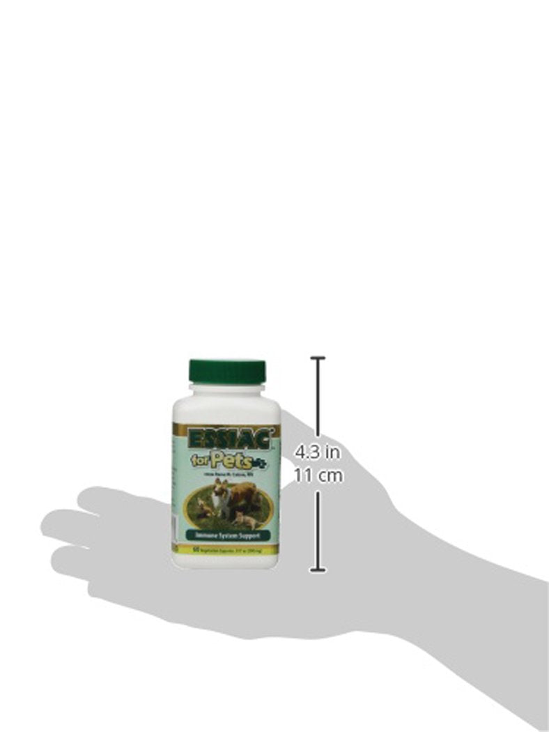 Essiac International Herbal Supplement for Pets, 60 Capsules - BeesActive Australia