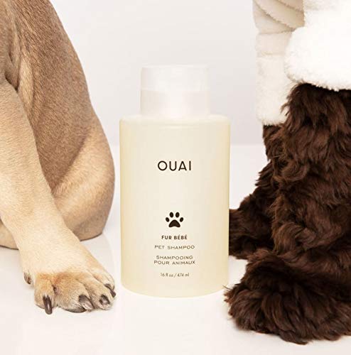 OUAI Fur Bébé Pet Shampoo, Mercer Street Scent, 16 Fl Oz - BeesActive Australia