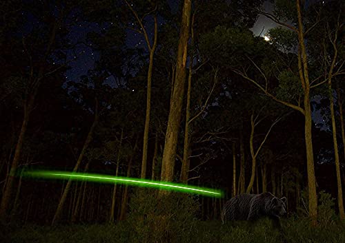 DEEPOWER S Lighted Nock for Arrows with .244/6.2mm Inside Diameter with ON/Off Switch Arrow Nocks for Archery Hunting Green - BeesActive Australia