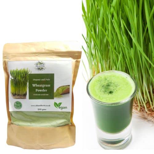 Clean Organic Wheatgrass Powder | 100% Natural and Pure | Eliminate toxins- Boost Your Metabolism (250g) 100 g (Pack of 1) - BeesActive Australia