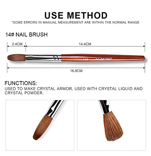 Rolabling Nail Brush Kolinsky Sable Acrylic Nail Art Brush Professional Red Wooden Nail Brush (14) 14# - BeesActive Australia