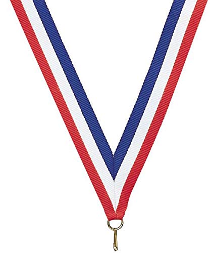 Express Medals Large 3 Inch Ice Hockey Gold Medal with Neck Ribbon Award Trophy Plaque Gift Prize - BeesActive Australia