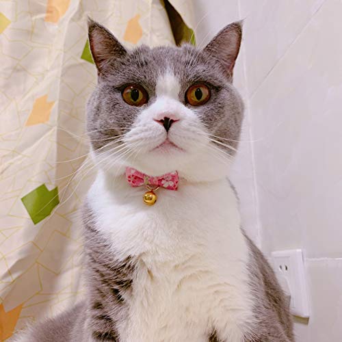 PetSoKoo Bowtie Chirimen Cat Collar with Bell. Japan Flower Bow Tie Style. Safety Breakaway & Light Weight, Soft, Comfortable, Durable Standard (6-13 inch,16-32cm) Sakura Pink - BeesActive Australia