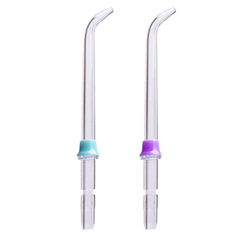 WuYan Dustproof Nozzle Box for Waterpik + 2pcs Oral Hygiene Standard Tips Suit for WP-100 WP-450 WP-250 WP-300 WP-660 WP-900 - BeesActive Australia