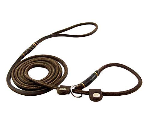 Real Leather Slip Dog Leash for Small Medium Large Dogs Puppies Lightweight Thin but Sturdy Adjustable Slip Lead Dog Leash Soft and Slim 5 ft x 1/5 inch Small( 5 ft x 1/5 inch) - BeesActive Australia