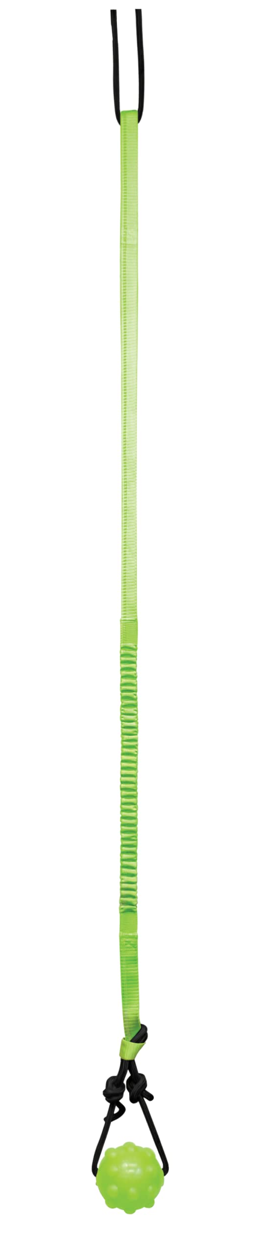 Jolly Pets Tree Tugger,Green - BeesActive Australia