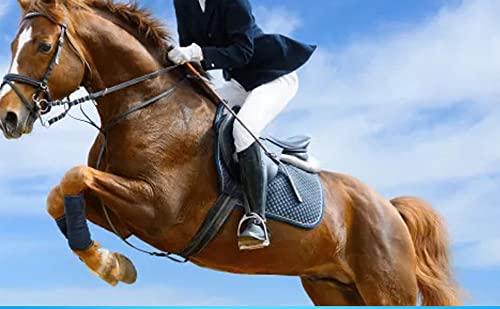 AICTIMO Horse Riding Gloves Equestrian Gloves Horseback Gardening Mittens Outdoor Professional Riding Gloves Black Medium - BeesActive Australia