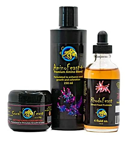 CoralFeast - AminoFeast- RhodoFeast Premium Quality Coral Food, Amino Acids & Probiotics 30G - BeesActive Australia