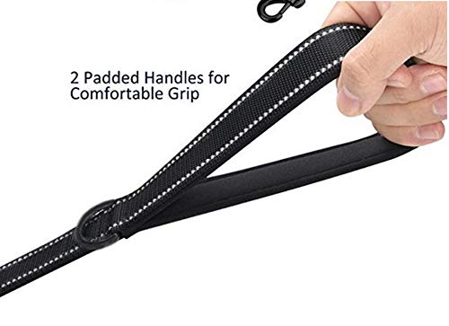 JEWOSTER Heavy Duty Dog Leash - 2 Handles by Padded Traffic Handle for Extra Control, 6foot Long - Perfect for Medium to Large Dogs 6 ft Black - BeesActive Australia