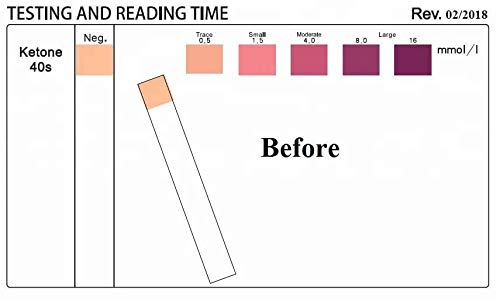 Ketone Keto Urine Test Strips Accurately Measure Your Fat Burning Ketosis Ketones Levels 100 Strips - BeesActive Australia