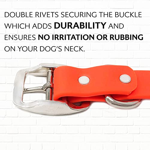 Regal Dog Products Waterproof Dog Collar - Custom Fit Vinyl-Coated Webbing Water Resistant, Double Buckle and D Ring Medium Orange - BeesActive Australia