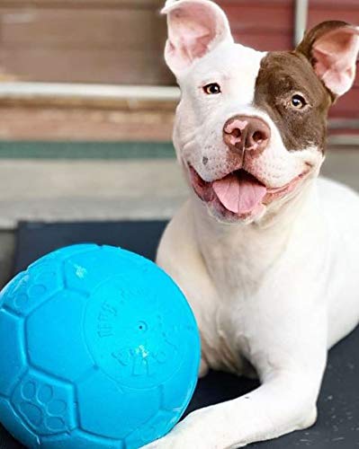 Jolly Pets Soccer Ball Floating-Bouncing Dog Toy Large/X-Large: 8 Inch Diameter Ocean Blue - BeesActive Australia