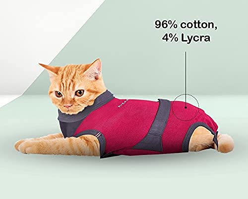 MAXX CAT E Collar Alternative Medical Pet Clothing Recovery Suit for Cats After Surgery Wear Wound Bandage Protection Anti Anxiety Body Wrap XS Red with Grey - BeesActive Australia