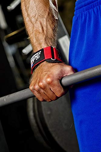 Schiek Sports Model 1900 Ultimate Grip Weight Lifting Straps - Pink Blue Large - BeesActive Australia