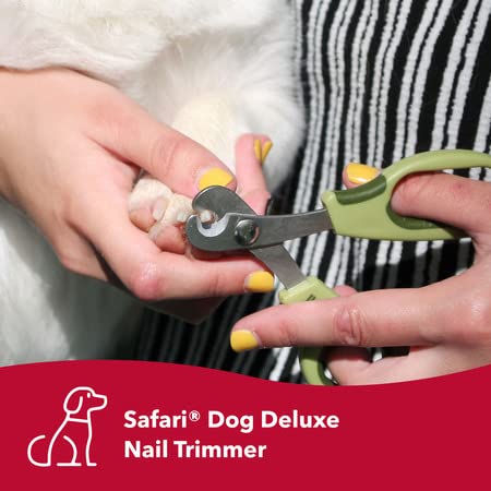 Safari by Coastal Deluxe Nail Trimmer with Stainless Steel Edges for Regular Trimming & Maintenance of Dog Nails (770024) - BeesActive Australia