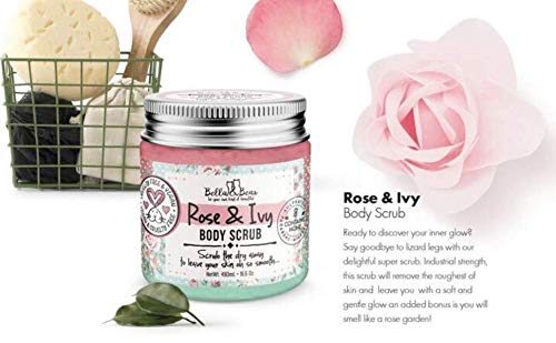 Bella & Bear Rose & Ivy Body Scrub, Oil Free, Cruelty-Free, Vegan Body Exfoliator and Polish for Women, 6.7oz 7 Ounce (Pack of 1) - BeesActive Australia