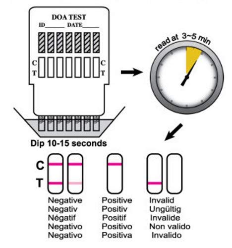 Drug Testing Kit, Tests for 7 Main Drugs in Urine, Test Home or Work, Detailed Instructions - BeesActive Australia