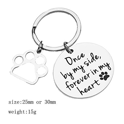 Pet Bereavement Memorial Remembrance Gift - Once by My Side Forever in My Heart Paw Prints Keychain Dog Cat Loss Gifts for Pet Owner Sympathy Gifts - BeesActive Australia