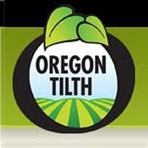 ECLECTIC Milk Thistle (Milk Thistle, Milk Thistle) 600mg x 45 Capsules e173 - BeesActive Australia