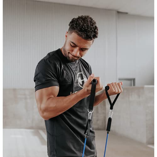 HouseGym Alphaband Pro Kit Resistance Band Home Fitness Set - BeesActive Australia