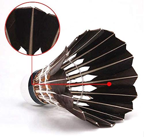 ZHENAN 12-Pack Black Goose Feather Badminton Shuttlecocks with Great Stability and Durability Goose Feathers Badminton Balls,Hight Speed Badminton Birdies Balls - BeesActive Australia