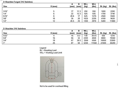 Stainless Steel 316 Forged D Shackle Marine Grade 5/16" (8mm) Dee - BeesActive Australia