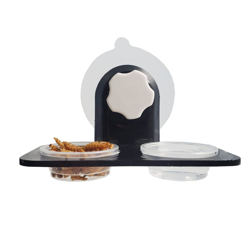 MRTIOO Enhanced Crested Gecko Feeding Ledge, Reptile Food Bowls and Water Dish for Lizard Or Other Small Pet Amphibian Feeder Ledge Accessories Supplies, with 20 pcs 0.5oz Food Cups - BeesActive Australia