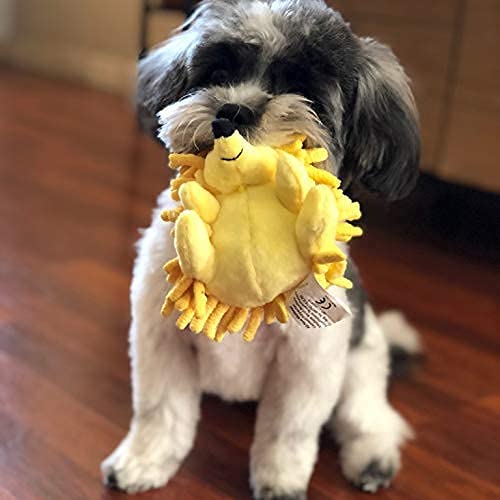 Snuggle Puppy Tender-Tuffs Tiny Hedgehog and Clownfish Plush Dog Toys Bundle - Tough Animal Squeaky Toys - BeesActive Australia