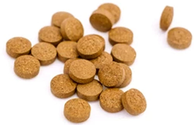 Ferrous Fumarate Iron Tablets 14mg x 120 Blood Cells Energy Anaemia Tiredness Pregnancy High Strength General Health & Well Being Supplement Vegan - BeesActive Australia