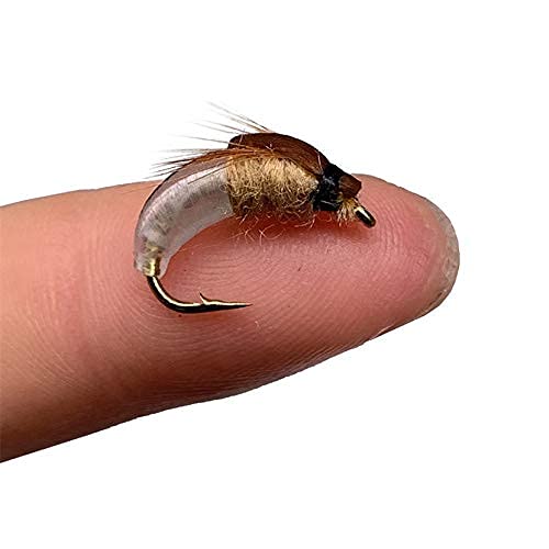 OutdoorFishing Fly Fishing Flies-24-48Pieces Fly Fishing Lures-Wet Flies,Nymph,Scud 24Pcs with box - BeesActive Australia