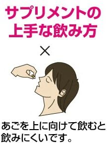 eclectic St. John's Wort Eco Pack 300 mg x 45 capsules ec121 - BeesActive Australia