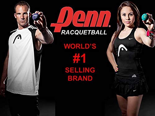 Pro Penn HD Purple Racquetballs - 1 Can of 3 Racketball Balls - BeesActive Australia